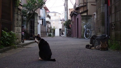 DSC01918