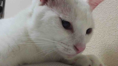 1E34FC56-612E-449B-8C28-86F8E4B48578