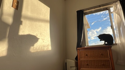 写真 2022-08-12 5 45 16