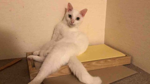 4F74BB4B-FE3D-4DE7-BA87-29BF8921CEDD