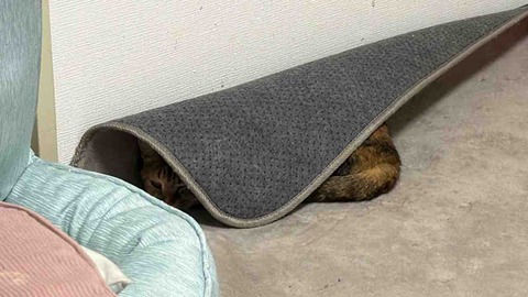 FullSizeRender