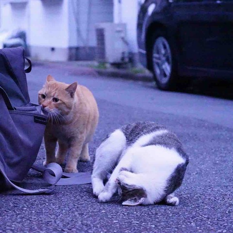 2FBE1989-8389-4E17-A61D-7C9B7AB77E3F