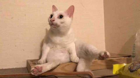 FA82B7AB-BF80-455C-9E7E-885764C36208