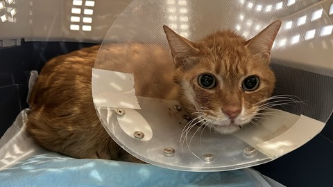 写真 2025-03-05 9 30 36