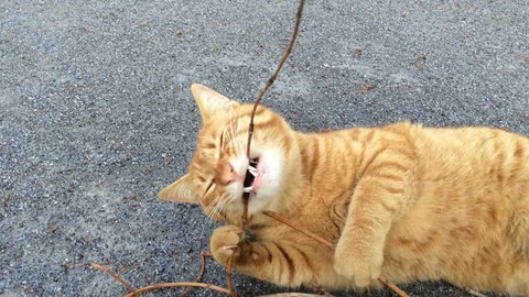 C42931C1-4670-4242-980F-4E43000FA3B2