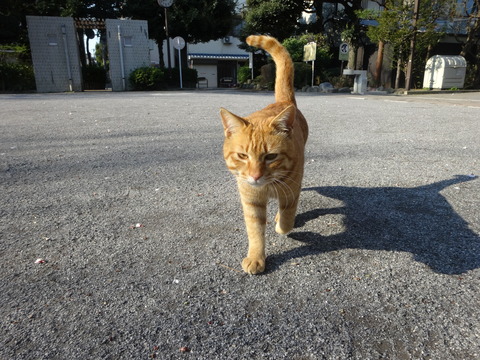 DSC05902