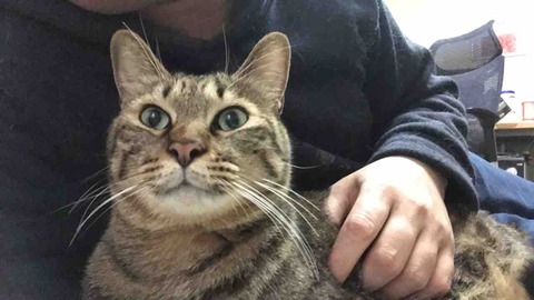 41C46F00-5EA5-4C5C-92A5-BB656268CCD7