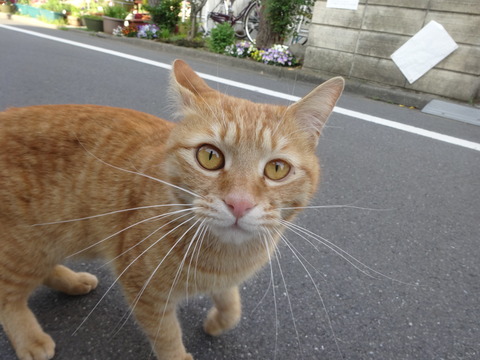 DSC05657