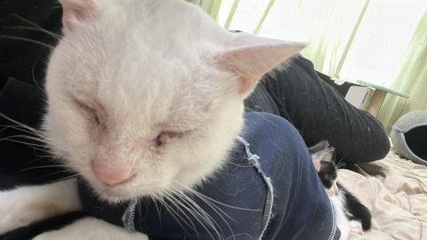 写真 2025-09-18 9 30 37