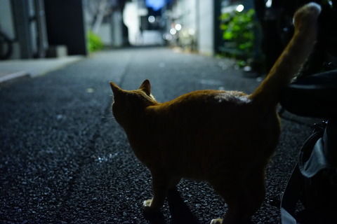 DSC06298