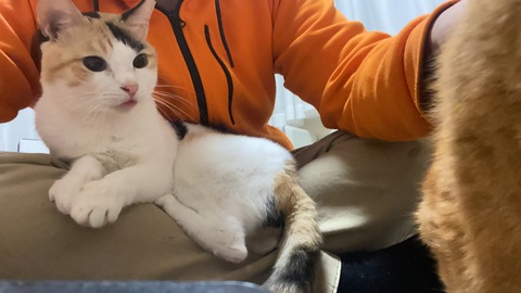 写真 2020-12-04 0 06 36