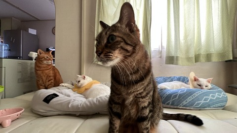 写真 2021-11-16 13 32 16