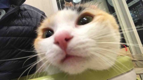 CE27F80A-B378-484E-9C7D-5ED78B1FCC3D