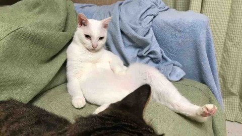 E7530605-62CA-41B0-B1DB-32141B54318D