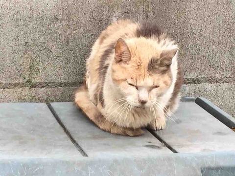 1B7314D3-84EA-44EB-82CD-51280CDEFC59