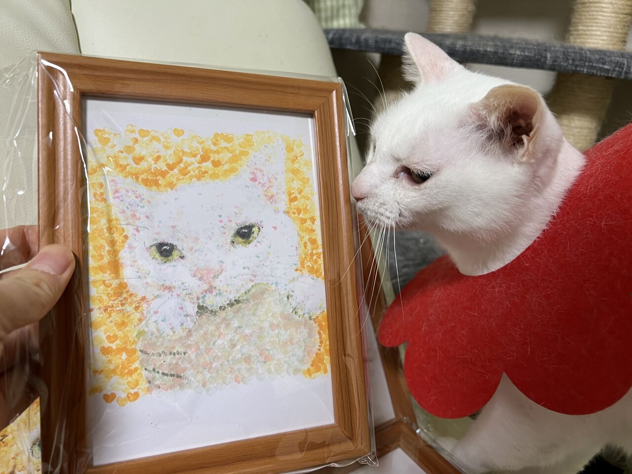猫たちのハート判子絵をお贈り頂きました 2518 ねこかます