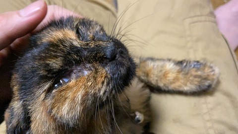 写真 2019-09-21 23 37 28