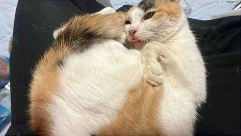 FullSizeRender