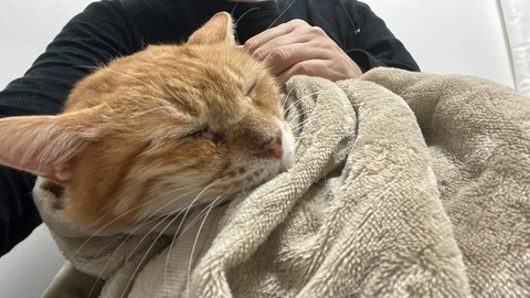 写真 2022-12-03 5 33 07