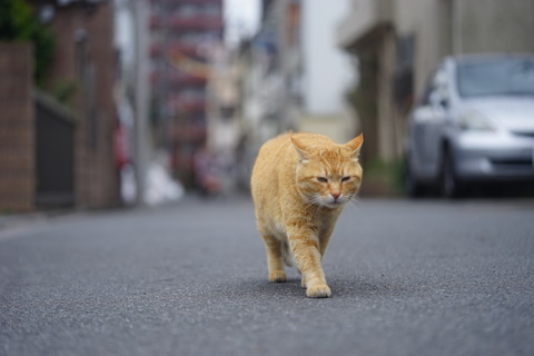 DSC09455