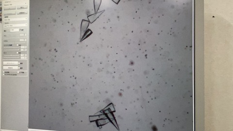 写真 2019-12-10 16 33 09