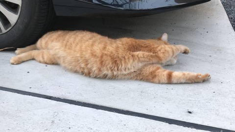 写真 2019-02-23 17 05 27