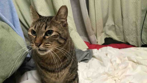 3948F41D-E07A-469F-B873-7CC3BD01EDB4