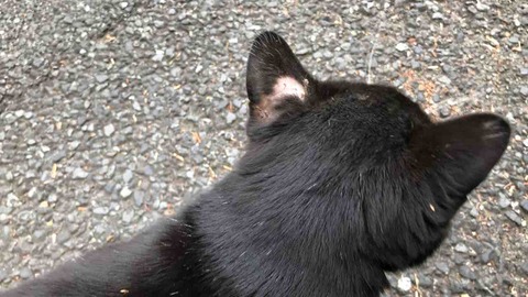 32E3F988-12E2-4708-B83A-B75E85DB196B