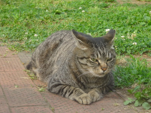 DSC00106