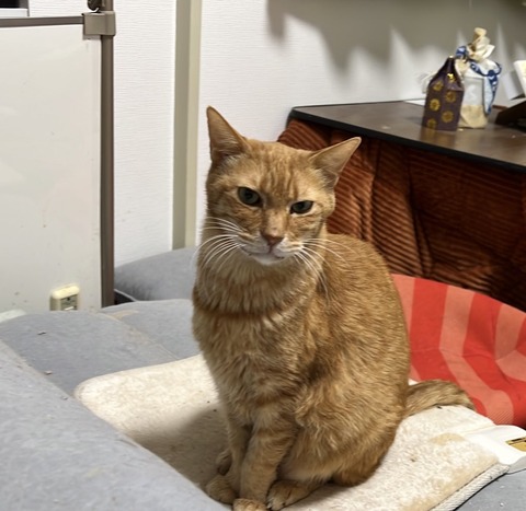 写真 2025-02-24 17 08 53