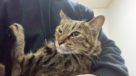 写真 2023-02-08 23 57 10