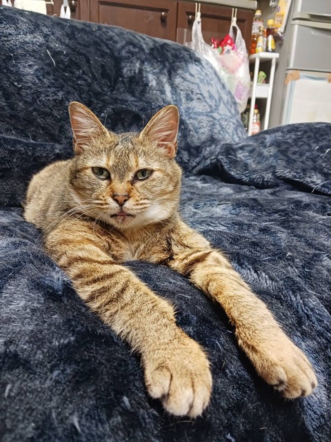 IMG_2223