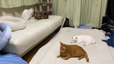 写真 2020-10-13 23 04 08