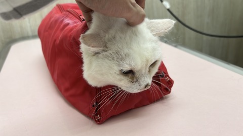 写真 2025-10-06 9 48 30