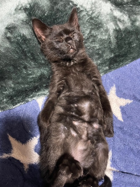 写真 2023-12-06 22 09 43