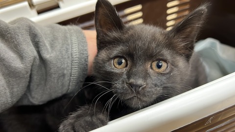 写真 2023-11-29 17 23 40