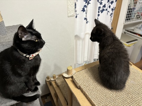 写真 2023-12-06 22 10 13 (2)