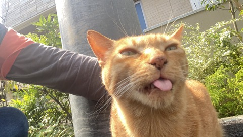 写真 2021-09-15 12 18 16