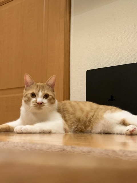 写真 2024-02-10 12 37 31