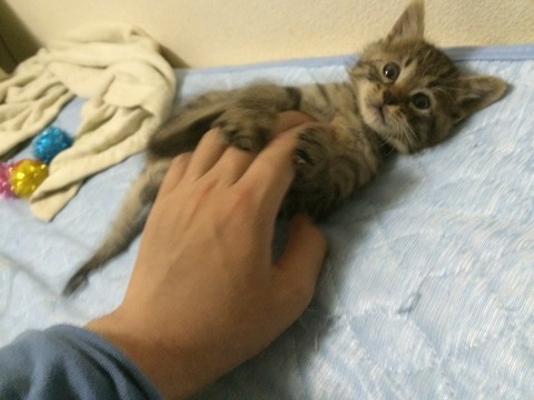 2015-06-03 00.00.49-1