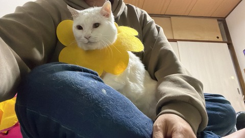 写真 2022-01-31 16 14 48