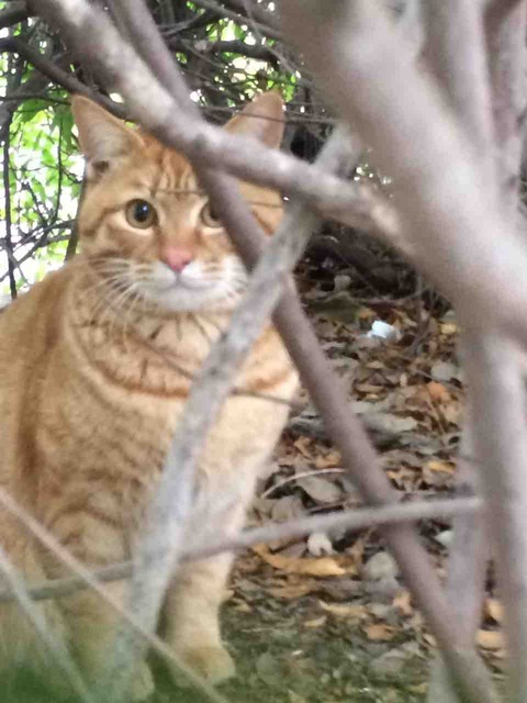 E927EEF7-CFDA-4ADE-B52F-F7ECBC342D4C