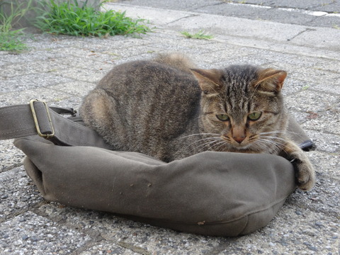 DSC00184