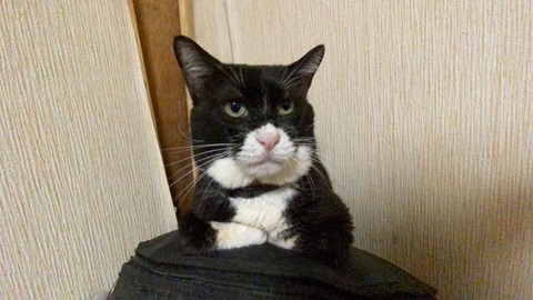 写真 2020-07-05 23 10 22