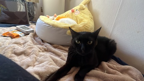 写真 2022-10-23 7 41 51