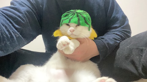 写真 2020-04-19 22 21 07