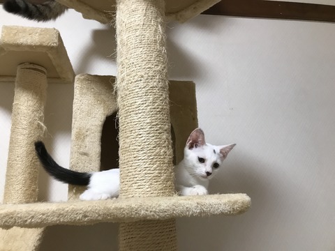 写真 2017-08-27 0 12 13