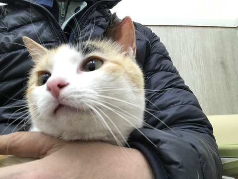 Photo 2019-03-25 18 36 15