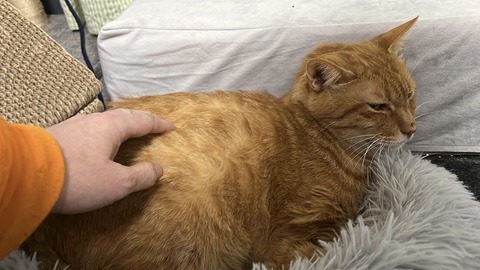 写真 2025-02-04 21 44 25