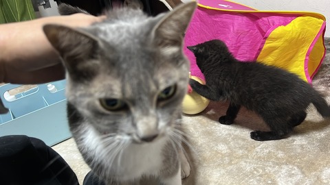 写真 2023-11-27 5 54 16